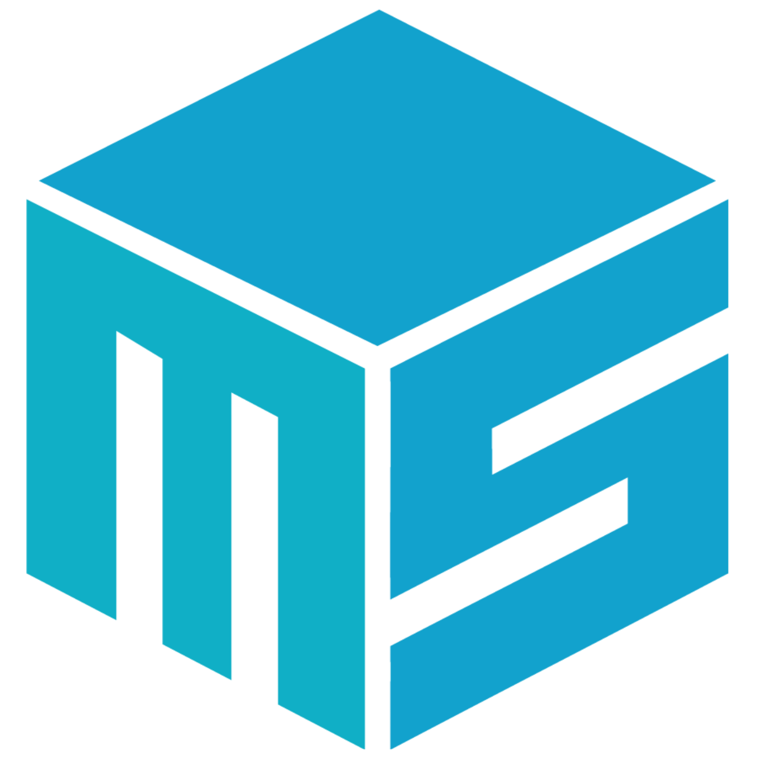 MS QUBE